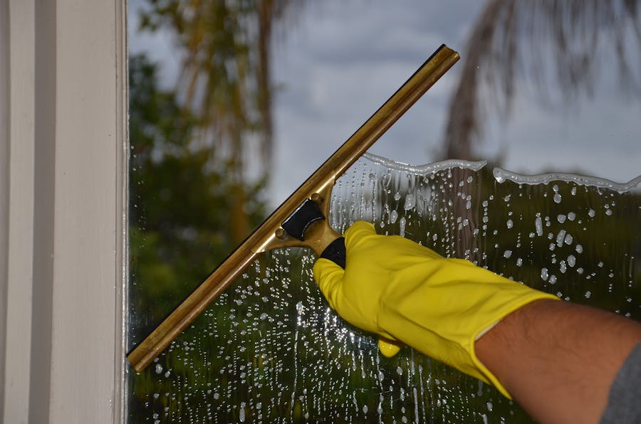 Professional window cleaning with squeegee