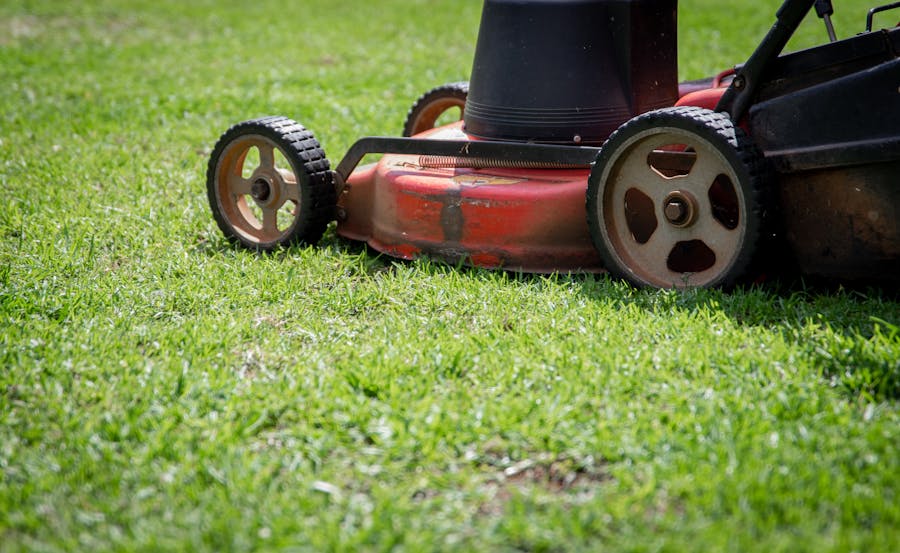 Freshly mowed green lawn