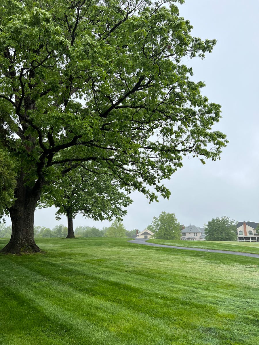 Tranquil countryside lawn freshly manicured